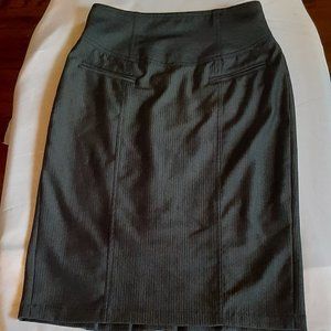 Grace Elements Grey/Dark Grey Pin Striped Skirt, Size 4. Back Kick Pleat NWOT